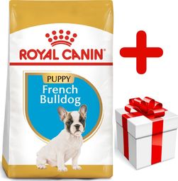  Royal Canin ROYAL CANIN French Bulldog Puppy 10kg karma sucha dla szczeniąt do 12 miesiąca, rasy bulldog francuski + niespodzianka dla psa GRATIS!