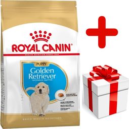  Royal Canin ROYAL CANIN Golden Retriever Puppy 12kg + niespodzianka dla psa GRATIS!