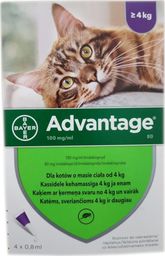 Bayer Advantage - dla kotów (0,8mlx4) *roztwór* blister