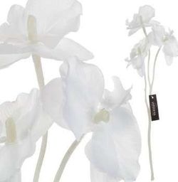  Aluro Roślina szt. - gałązka białej orchidei_Aluro