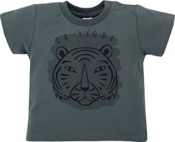  PINOKIO Koszulka t-shirt dla chłopca Le Tigre Pinokio 68