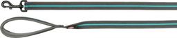  Trixie Fusion, smycz dla psa, grafit/morski błękit, taśma parciana, S–L: 1.80 m/17 mm, bardzo długa