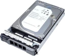 Dysk serwerowy Dell 8 TB 3.5'' SATA III (6 Gb/s)  (400-BFCW)