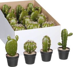  Tajemniczy ogród Kaktus w doniczce 4 wzory