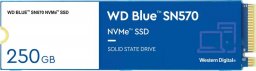 Dysk SSD WD Blue SN570 250GB M.2 2280 PCI-E x4 Gen3 NVMe (WDS250G3B0C)