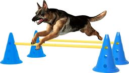 vidaXL Zestaw przeszkód treningowych dla psa, niebiesko-żółty