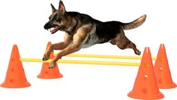 vidaXL Zestaw przeszkód treningowych dla psa, pomarańczowo-żółty