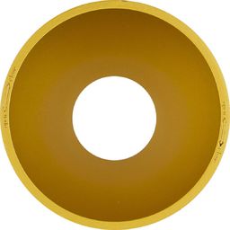  MAXlight Złoty pierścień ozdobny Maxlight Paxo RH0108