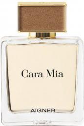 Aigner Parfums EDP 100 ml