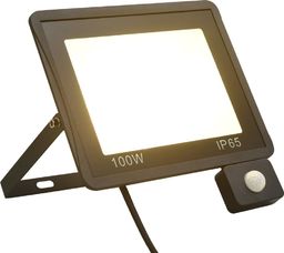 Naświetlacz vidaXL Reflektor LED z czujnikiem, 100 W, ciepłe białe światło