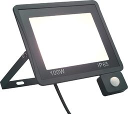 Naświetlacz vidaXL Reflektor LED z czujnikiem, 100 W, zimne białe światło