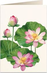 Tassotti Karnet B6 + koperta 5930 Kwiat lotosu