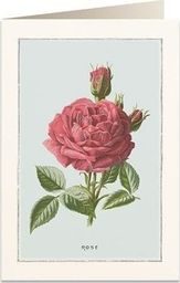  Tassotti Karnet B6 + koperta 6019 Róża damasceńska