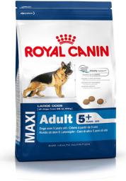  Royal Canin Maxi Adult karma sucha dla psów dorosłych, do 5 roku życia, ras dużych 5+ 15 kg