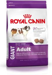 Royal Canin Giant Adult Psy dorosłe ras olbrzymich 15 kg