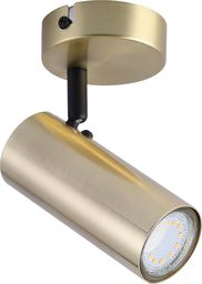 Kinkiet Candellux Lampa ścienna LED Ready do salonu mosiężny Candellux 91-01702
