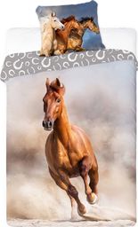  Faro Pościel 140 x 200 Młodzieżowa Horses 006 Gniady