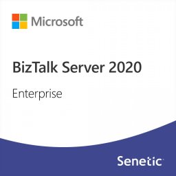 Microsoft BizTalk Server 2020 Enterprise - komercyjny (DG7GMGF0G49X-0001)