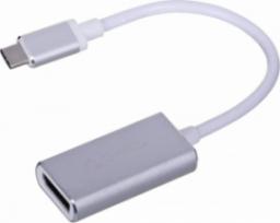 Adapter USB Orico USB-C - DisplayPort Szary  (XC-103-SV-BP)