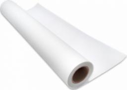 Regma Folia do plotera REGMA 297mm x 30m