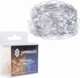 Lampki choinkowe Springos 30 LED białe zimne