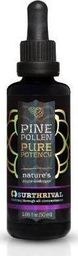 Kenay Pine Pollen Pyłek sosnowy w płynie 50 ml KENAY