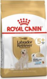  Royal Canin Karma BHN Labrador Ageing 5+ 3kg