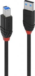Kabel USB Lindy USB-A - USB-B 10 m Czarny (43227)