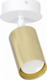 Lampa sufitowa Selsey SELSEY Spot sufitowy Fossano biały ze złotym kloszem