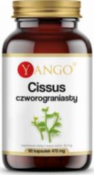  Yango Cissus Czworograniasty ekstrakt 10:1 90 kapsułek Yango