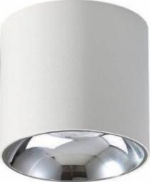 Lampa sufitowa Abigail Spot LAMPA sufitowa VAIOLETT DL10W-WW Abigali metalowa tuba LED 10W 3000K downlight biały