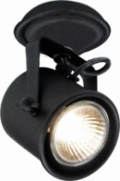 Lampa sufitowa KASPA Halogenowa LAMPA sufitowa ALTER 50279102 Kaspa ścienna OPRAWA spot regulowany REFLEKTOR czarny