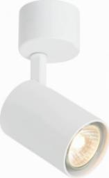 Lampa sufitowa Orlicki Design Spot LAMPA sufitowa Tuka Bianco Orlicki Design regulowana OPRAWA metalowa downlight tuba biała