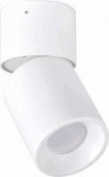 Lampa sufitowa Polux Regulowana tuba NIXA 314239 Polux sufitowa lampa biurowa biała