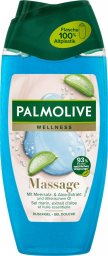 Palmolive (DE) Palmolive, Żel pod prysznic, masaż mineralny, 250 ml (PRODUKT Z NIEMIEC)