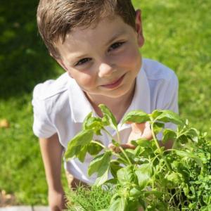 Smoby Kuchnia ogrodowa Grill 43 akcesoria 12