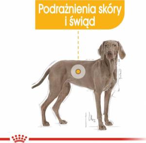 Royal Canin ROYAL CANIN CCN Maxi Dermacomfort 12kg karma sucha dla psów dorosłych, ras dużych, o wrażliwej skórze, skłonnej do podrażnień 3