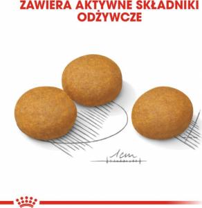 Royal Canin ROYAL CANIN CCN Maxi Dermacomfort 12kg karma sucha dla psów dorosłych, ras dużych, o wrażliwej skórze, skłonnej do podrażnień 5
