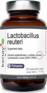 Kenay Probiotyk Lactobacillus reuteri Pylopass 60 kapsułek KENAY 1