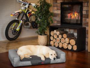 Hobbydog XXL VICTORIA POPIEL 6