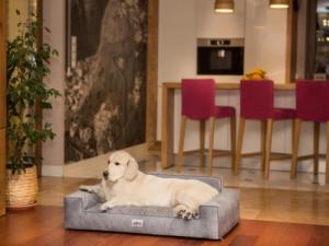 Hobbydog Legowisko Glamour Nowy, szary fancy, r. XL 4