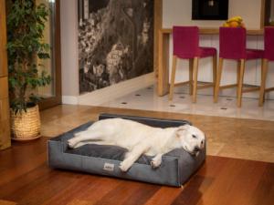 Hobbydog Legowisko Glamour Nowy, czarny fancy, r. XL 6