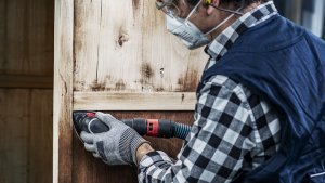 Bosch Bosch Expert C470 sanding sheet, 93mm, K40 (50 pieces, for delta sanders) 4