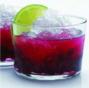 Blender kielichowy Gastroback 40986 2