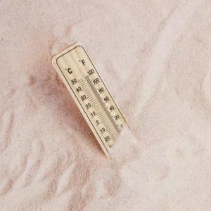 ProGarden Termometr ogrodowy zewnętrzny wewnętrzny ścienny na ścianę balkon taras klasyczny 22 cm 11