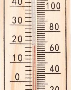 ProGarden Termometr ogrodowy zewnętrzny wewnętrzny ścienny na ścianę balkon taras klasyczny 22 cm 12