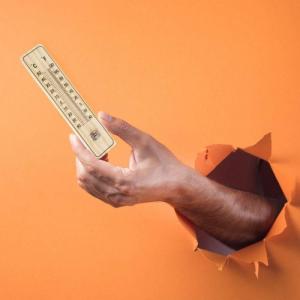 ProGarden Termometr ogrodowy zewnętrzny wewnętrzny ścienny na ścianę balkon taras klasyczny 22 cm 8