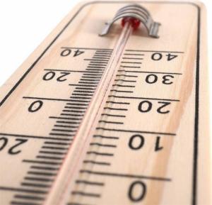 ProGarden Termometr ogrodowy zewnętrzny wewnętrzny ścienny na ścianę balkon taras klasyczny 22 cm 10