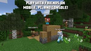 Minecraft Nintendo Switch 6