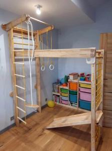 Babygame Drabinka Domowy Plac zabaw Czempion Plus biało-kolorowa 9